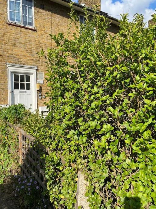 One Bedroom Putney Village Flat Λονδίνο Εξωτερικό φωτογραφία