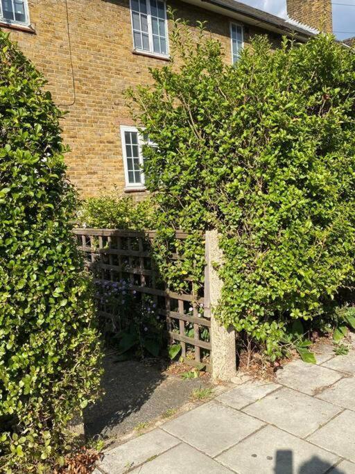 One Bedroom Putney Village Flat Λονδίνο Εξωτερικό φωτογραφία