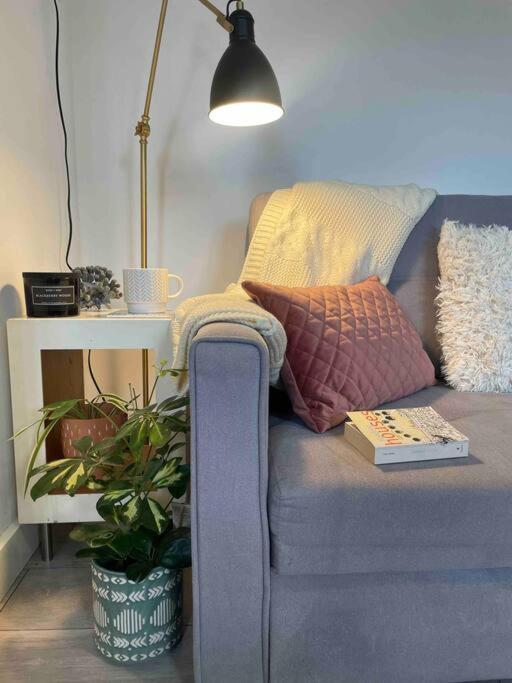 One Bedroom Putney Village Flat Λονδίνο Εξωτερικό φωτογραφία
